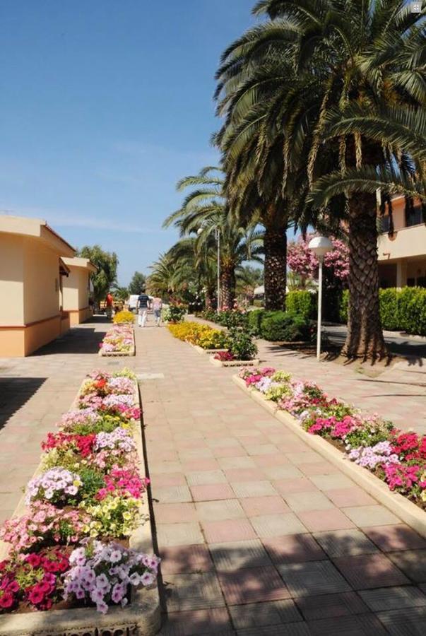 Hotel Summer Day Village Santa Maria Del Cedro Eksteriør billede